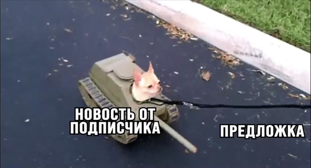 ������, ��� ���, � ��� ����� ���� ����