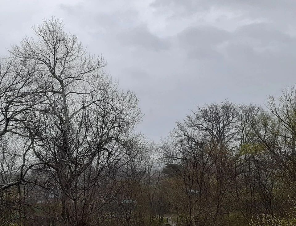 � ��� ��������� �� 14 �������� �����