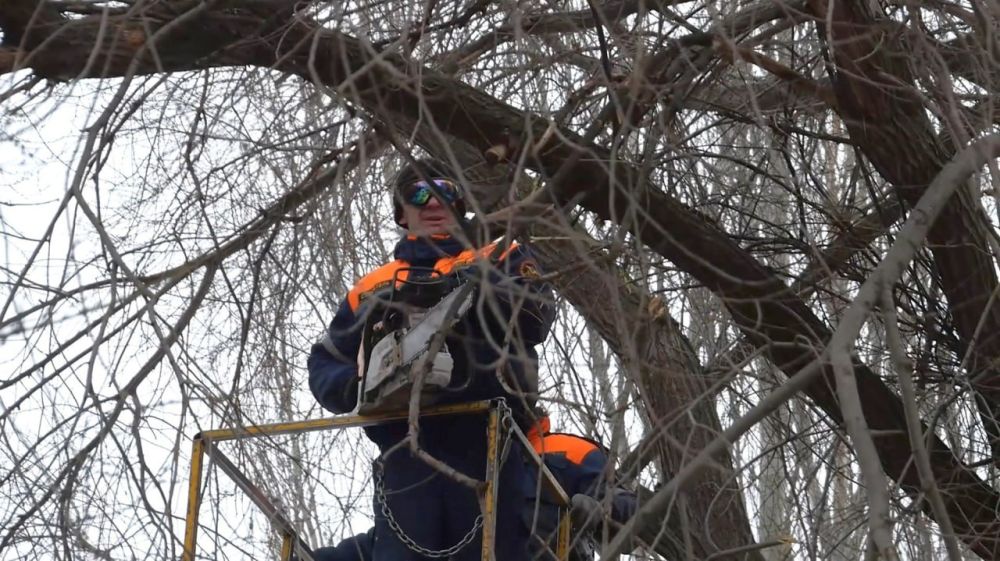 ���������� ��� ����������� � ��������� �������, �������� ����������� ������� ��� ����������� ������� ����������