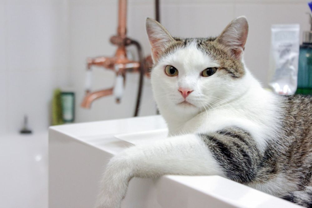 �� ������� ��������-����������������� ����� �������������� �� 18:00 ���������� ������ ���� �� �������: