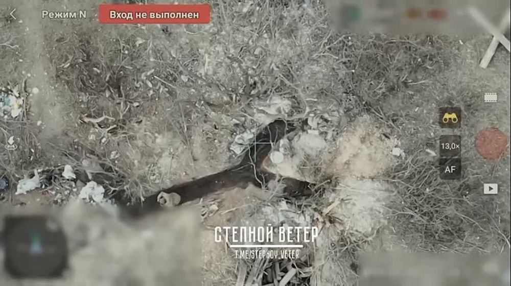 ������������� � ���������� �����: ������� ������ �������� - ������ ���� �����