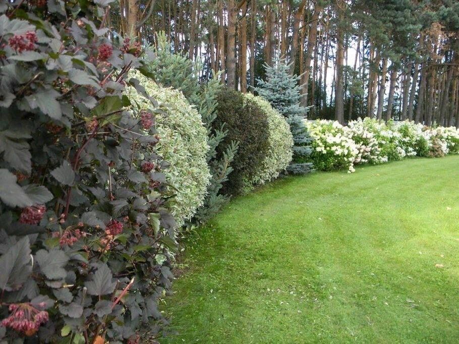 ��������������������� � ��������������������� ����������