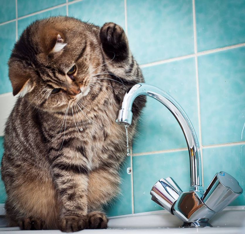 28 ����� �� ������� ��������-����������������� ����� �������������� �� 19:00 ���������� ������ ���� �� �������: