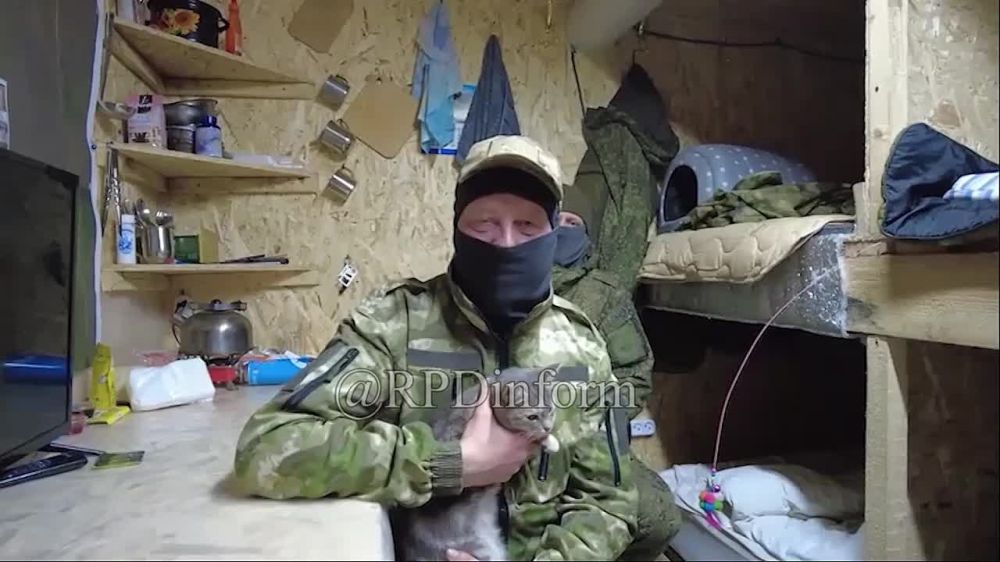 ����� ����������� "�����" ��������� �������� ���� ��� �� ������