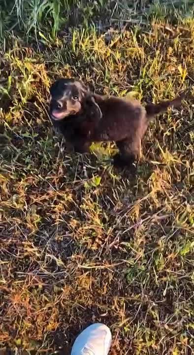 ����, �������-��, ��������, ��� �� - �����