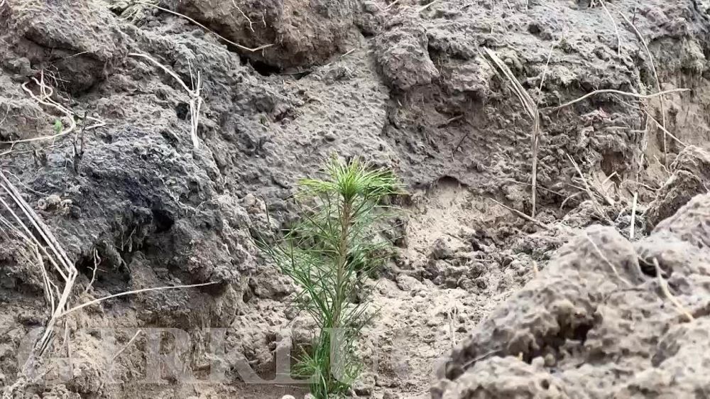 ������ 20 ����� ����� �������� ��������� ����� ��� ������ � �������� ��������� �����������