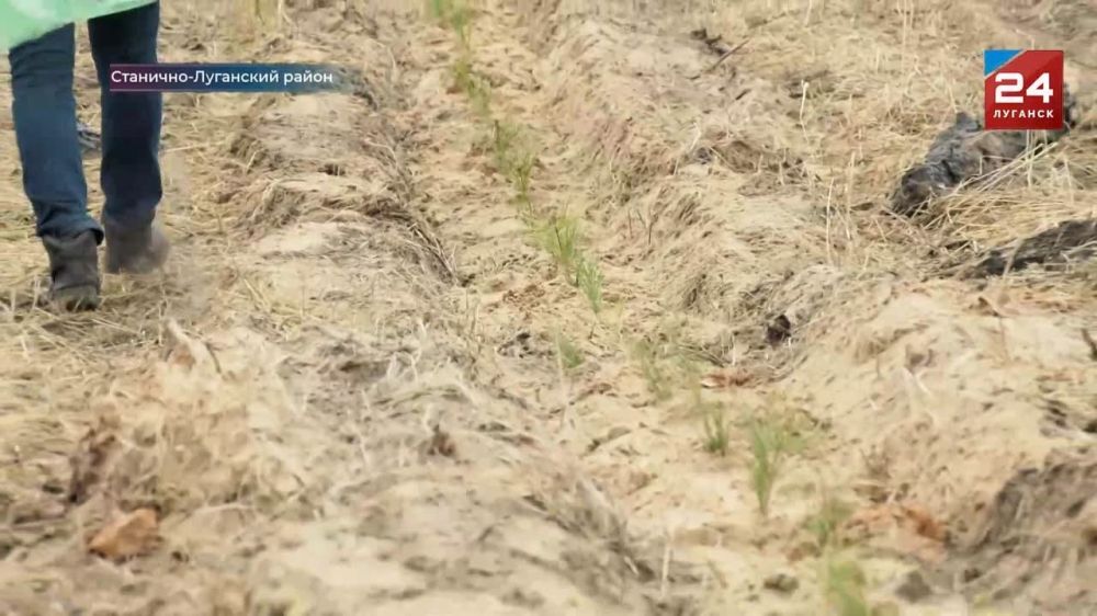 � �������-��������� ���������� ������������� ����� ���� ������