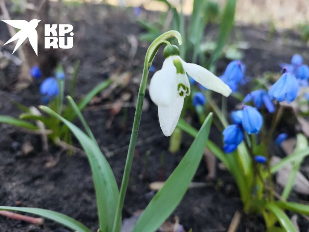 ����� � ������� ��������� �������� �����