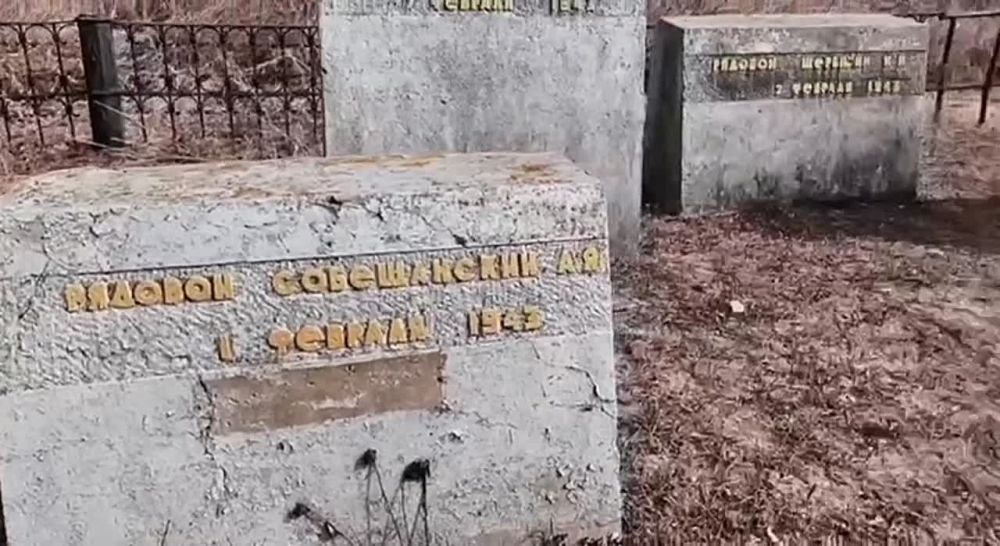 30 �����. ������ ���������߻ ����� �������