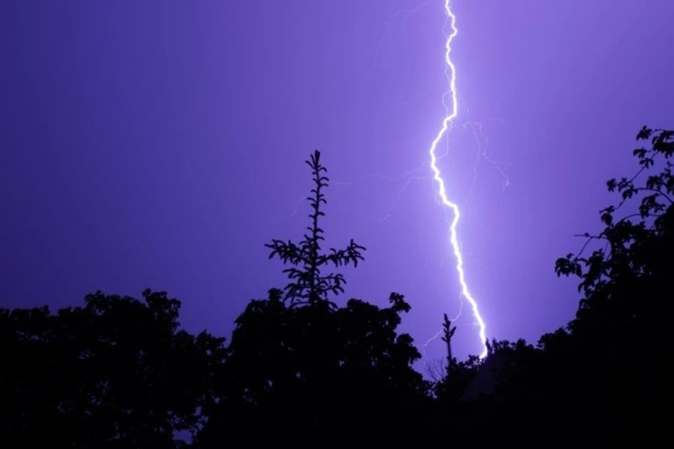 ������� ����� � ����� ��������� � ��� ����� � ����� 30 �����