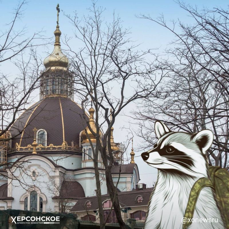 �������������� �����������: ���� ������ � ���������