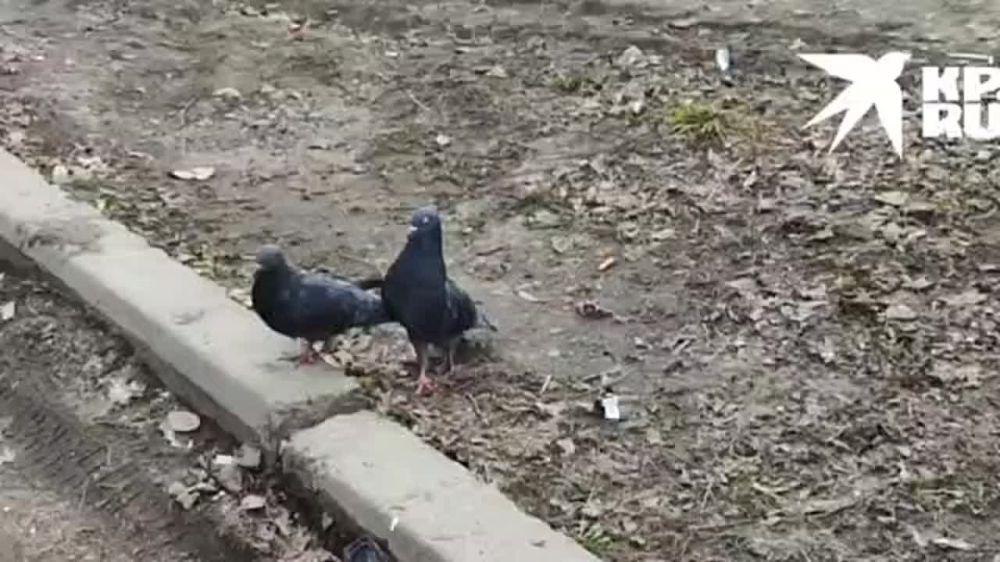 - �����, ����� ��� ���������� �� ��������?