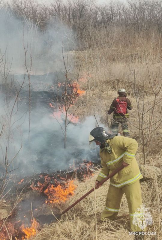 ������� � ������ 101 ��������� ��������� � ��������� ����� ����� � �.���������� ���������� ���������� ������