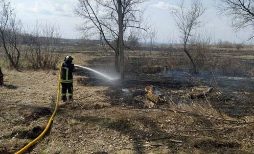 �������� ��� 31 ����� ������������� 75 ����������� �������