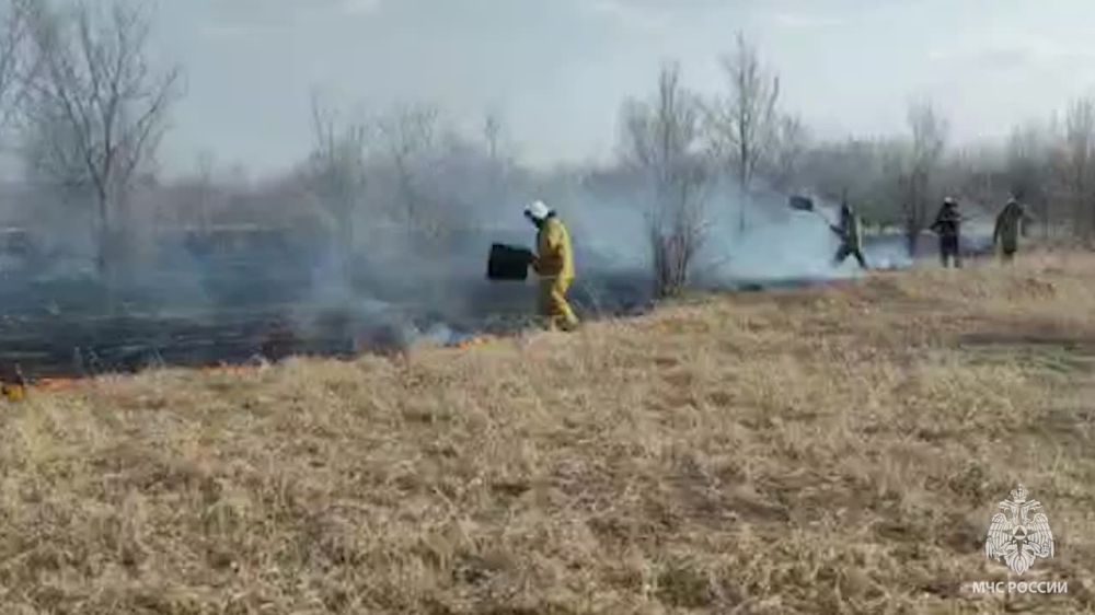 31 ����� � ���������� ������������� 95 �������, �� ��� 75 � ����������� � ���