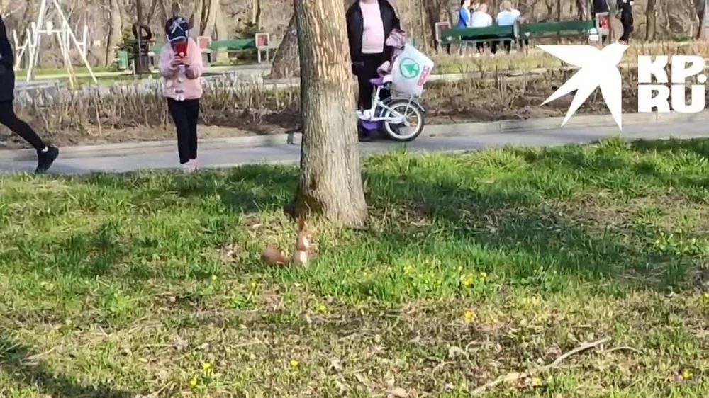 ����� ������ �����. � ����� ����� �������� � �������� ����� ���������� � ����� ��������� �����