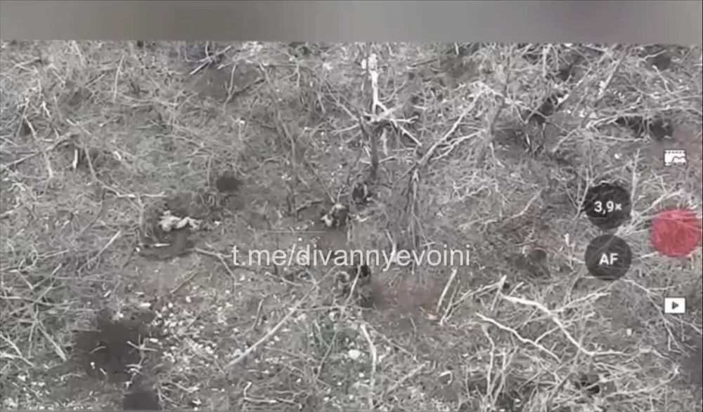 ���������� ������� ����� � ���� ���� ���������� ��������