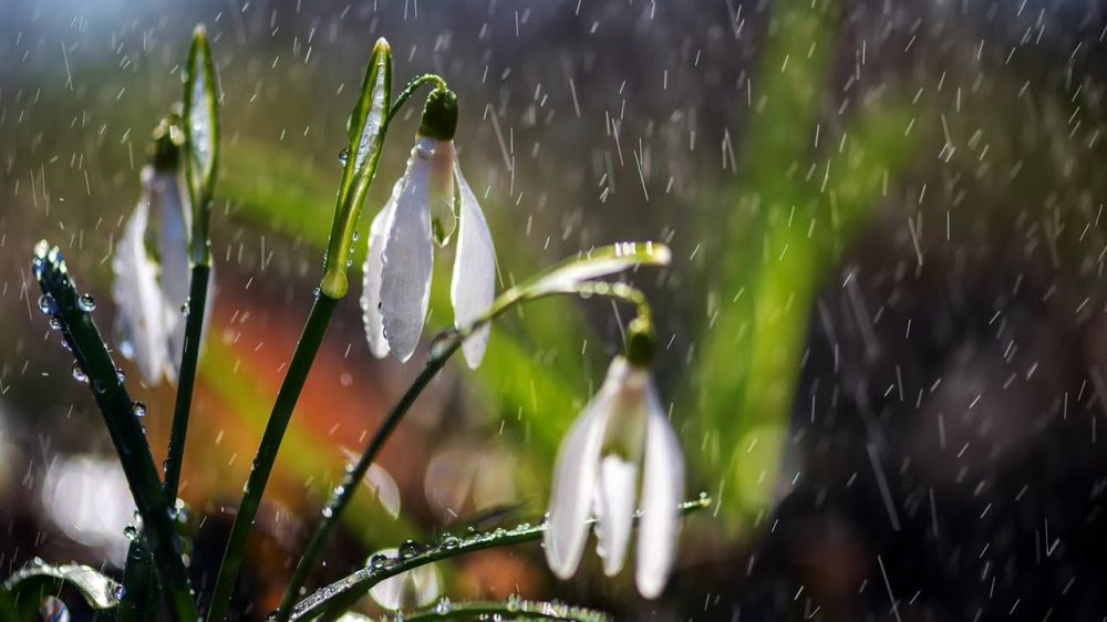 � ���������� 3 ������ ��������� ����� � �����