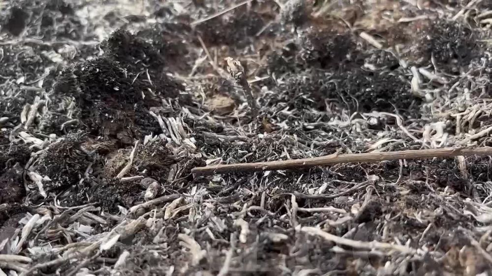 ������� ��������� ��������� ������������� ���������� ����� ����� �� ������� 300 ���������� ������