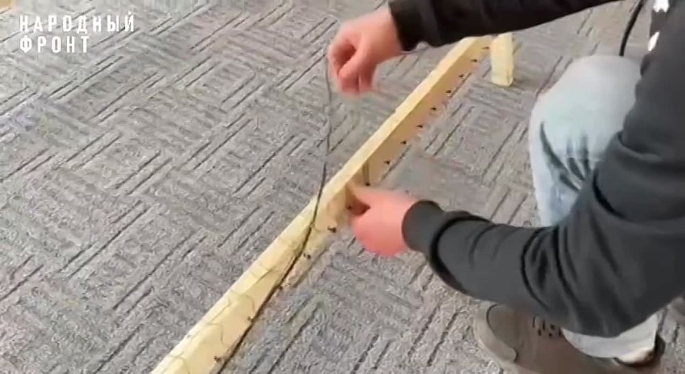 �������� ����� ��������� � ��������� ���������� ���������� ������ �������� � ���������� � ��������� ������� ���� ������ ��������, ���������� ��� ������� ��������������