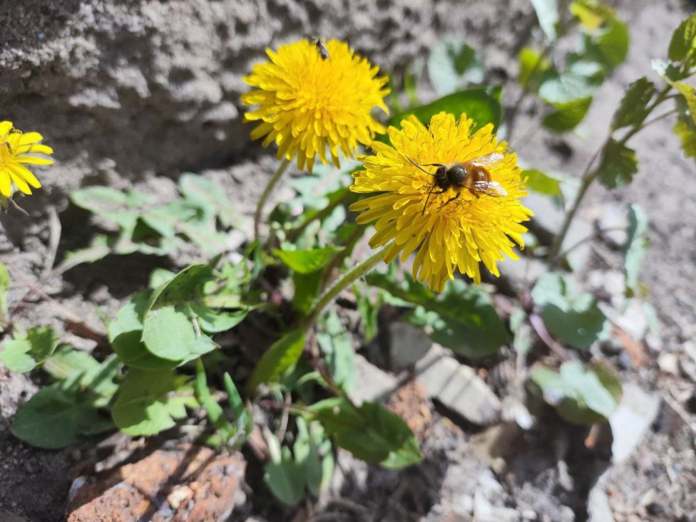 � �������� ��������� ������ ����������