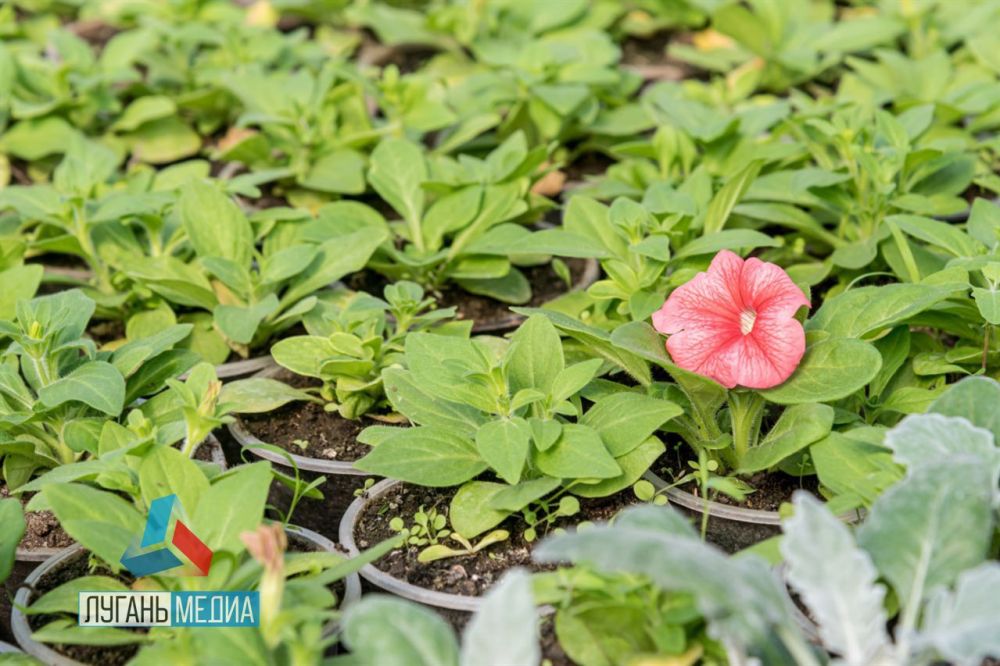 ����� �������� � ����� ����� ������ � ������������� ��������� � ������ ������