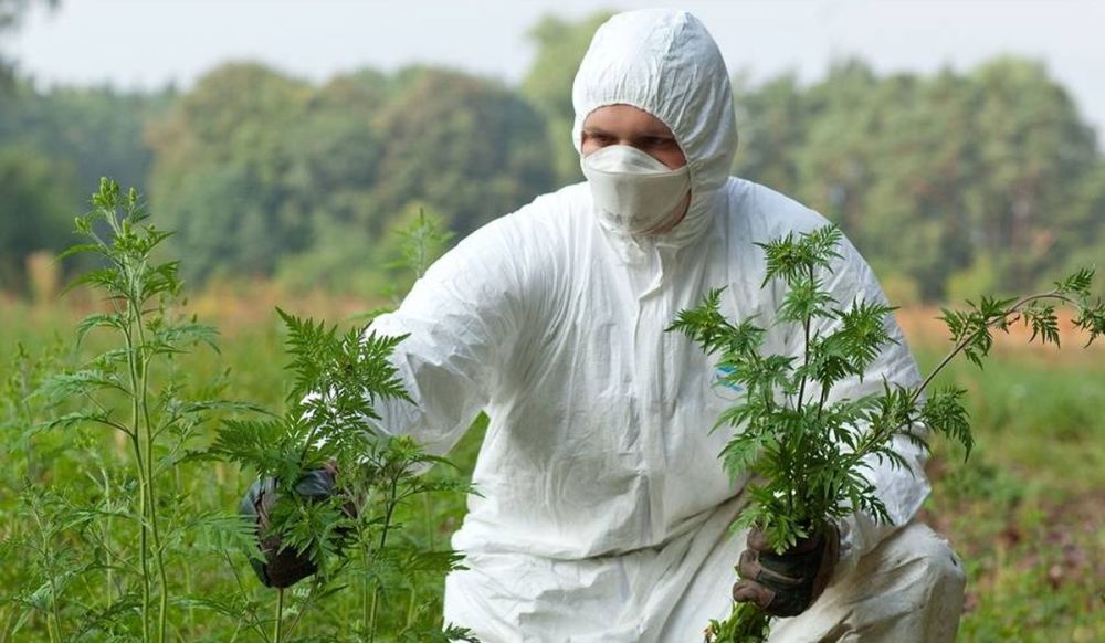 ����������� �������, ���������������� �� ���������� ��������� �������� ����������