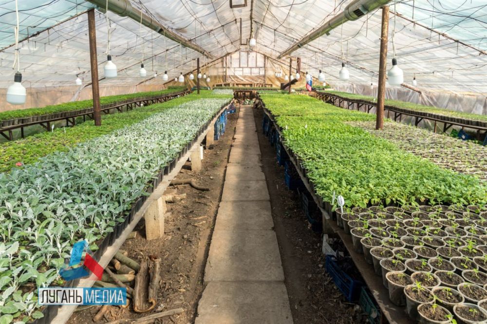 ��������� �������� �������� ��������� � ��������������� ������� ����� 300 000 ������ �� ��������� �������