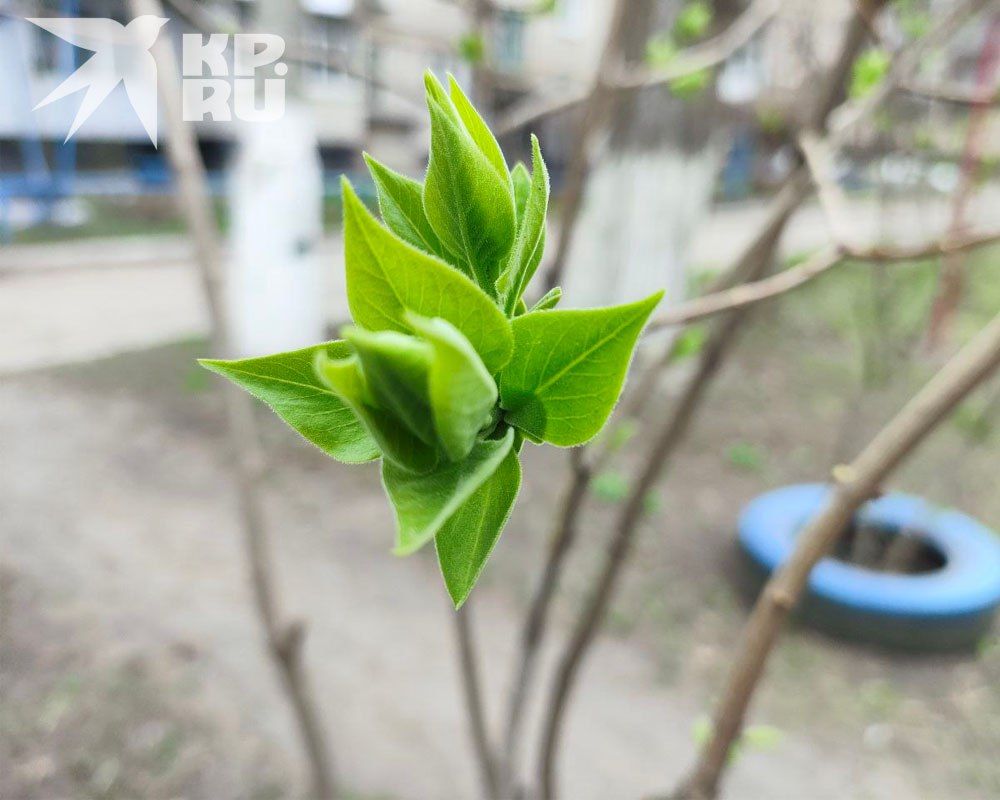 � �������� �� ������� ���������� ������ ��������