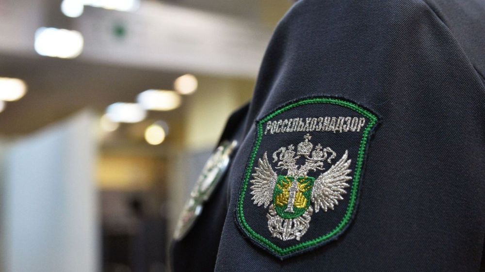 ���������������� ������ 63 �������� ������������ �������� ������������� ������� � ���, �������� � ����������