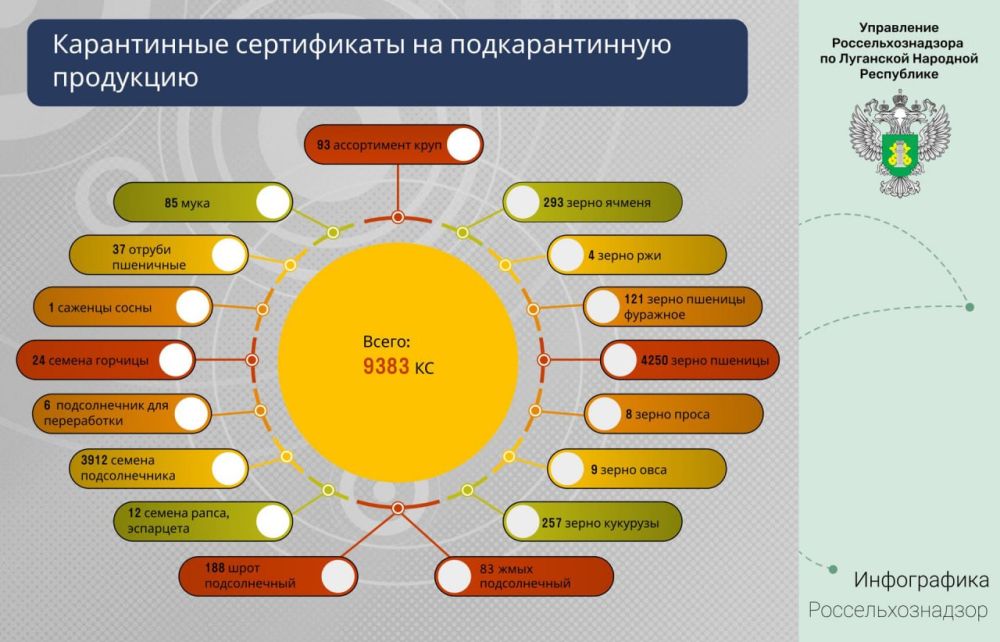 � ������ 2024 ���� ���� ������ 9383 ����������� ������������ �������� � ���������� ����������������� �� ��������� �������� ����������