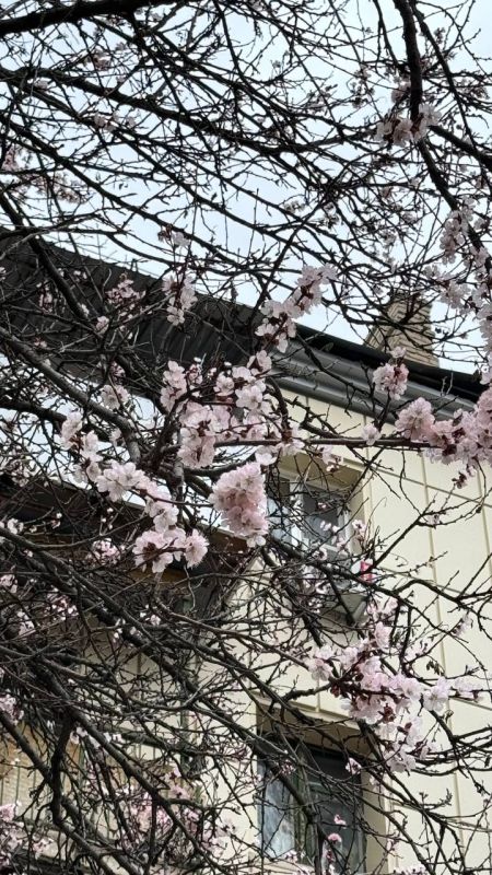 ������ ������ �������, � �� ����� ��� ��������� ������