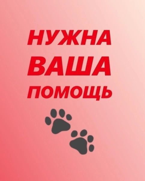 ������, SOS!. ����� ����� ������ ������ �������� ������ ������� ��� �. ��������, ������� ��������� � ���� ���������� ���, �...