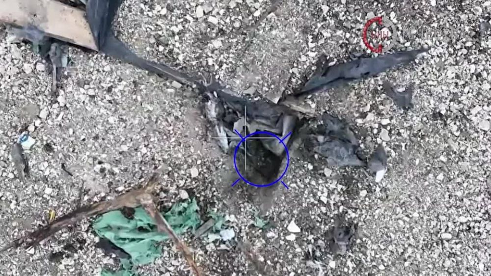 ���������� ��������� ���� ������� �������� ���������� ����� � ������ �����������, ���