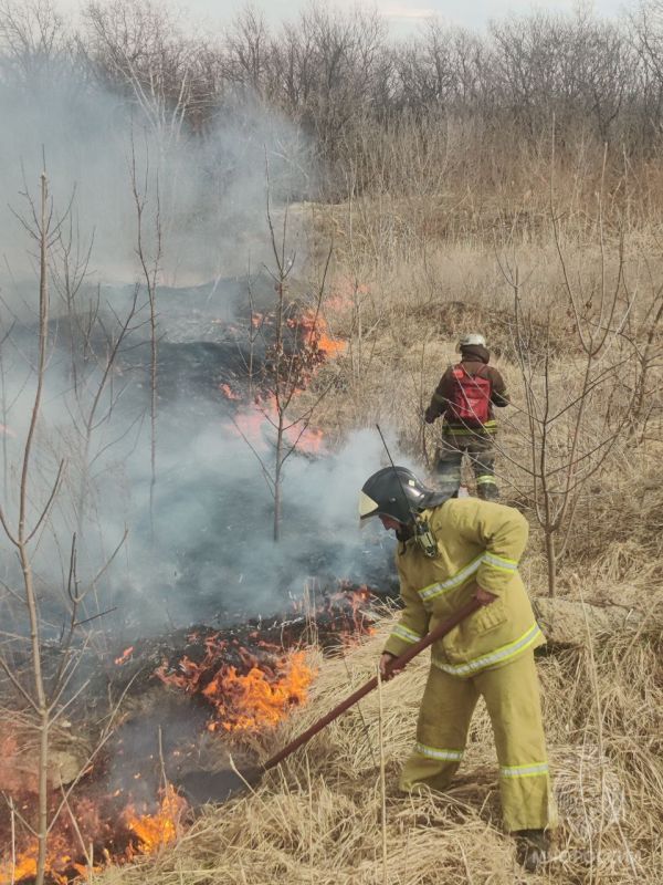 ��������� ��� ������ �� ��������� ����� 26 ��� �� ������� ������� �������� �� ���������� ����������� ������� � ����������