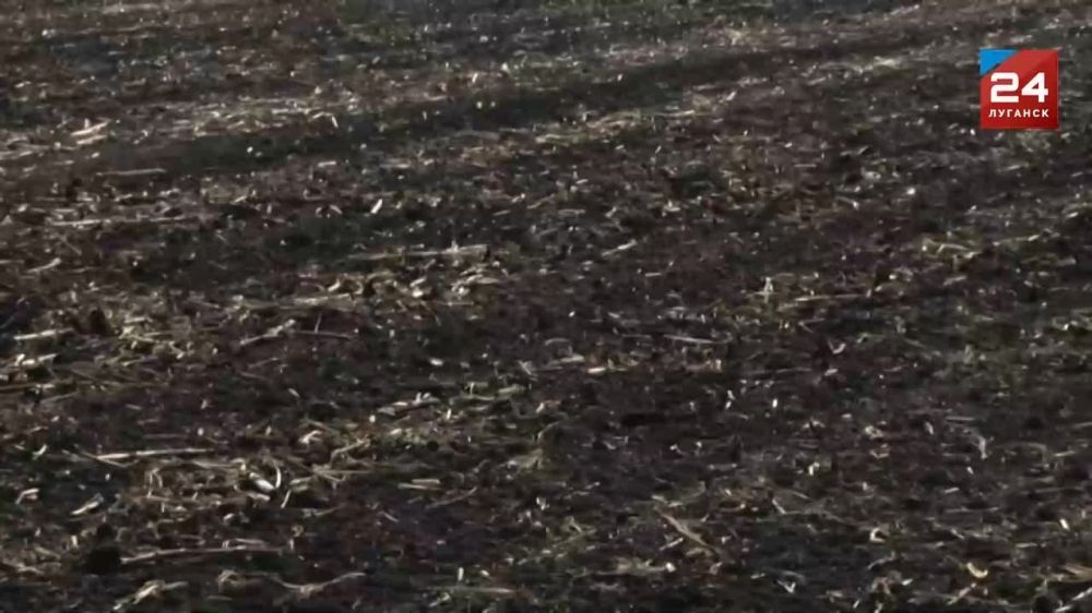 ����� �����. �����. ������������ ���������, ������� ��� ������ ������