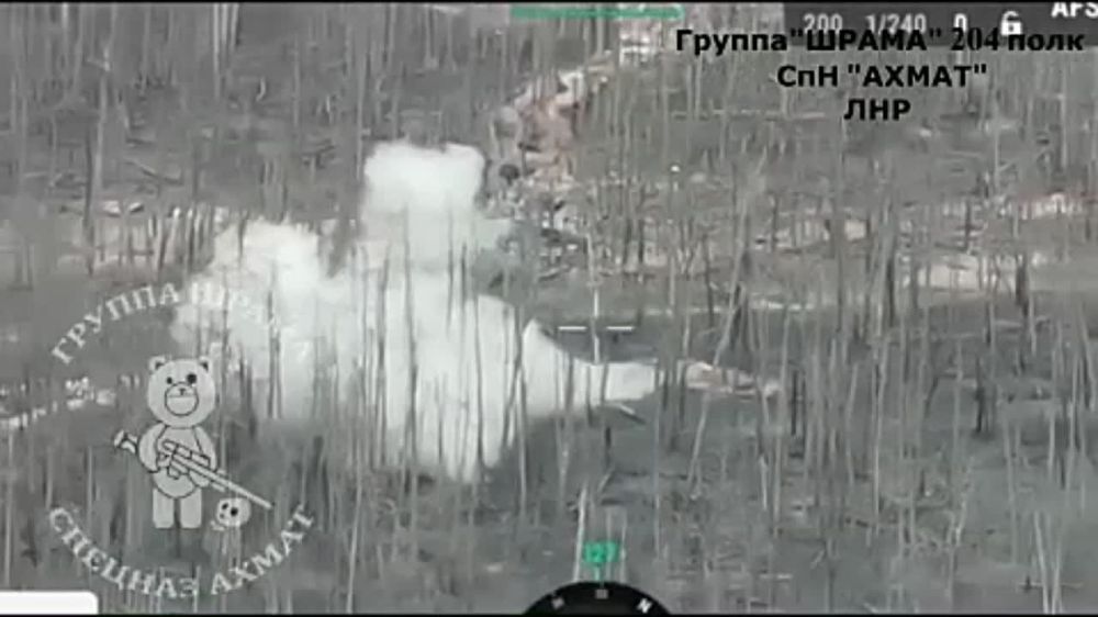 ������ "�����" 204 ���� ��� �����һ ���