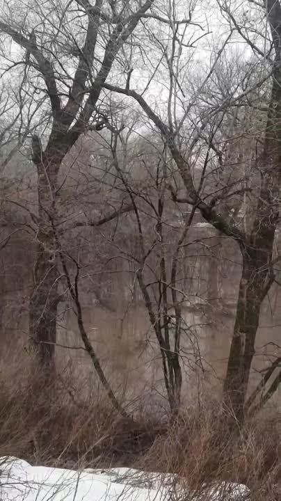 �� ���� ���������� � ��������� ������ 40 ����� �����