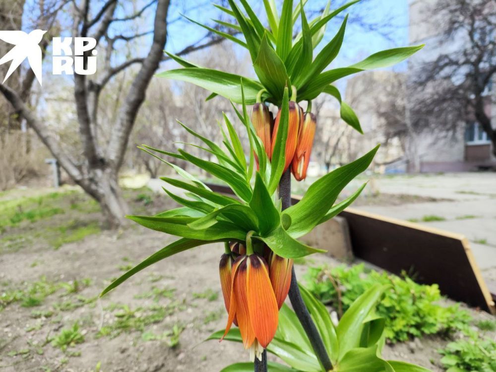 ���� ����� � ������. �� ������� � �������� ��������� ��������. �� �������� ������ ���� ������, ������ � ��������