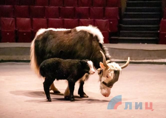 ��, ������� ������� �� ����� ��������� ��������� "����� �������" � ��������� ��������������� �����, ������� ��� ��� � ����� ��������