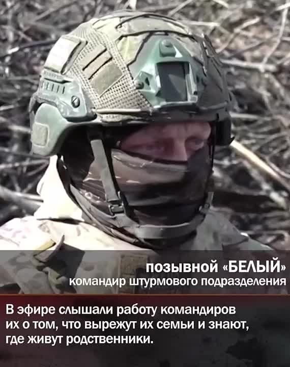 ������� ���������� �������, �������� ����������������, ���������� � ��������� ��������� � ���