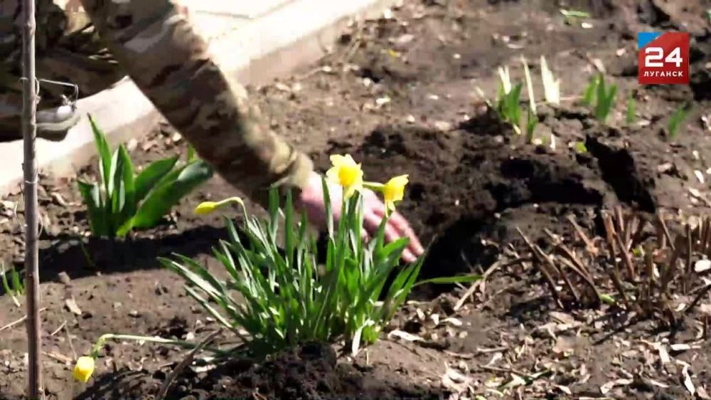 ������� ��� � ������������� �������� �� ���������� �������� ������ ��������� ������ � ����������