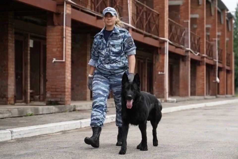 � ���� ������� ��� ����������� ����� ����������