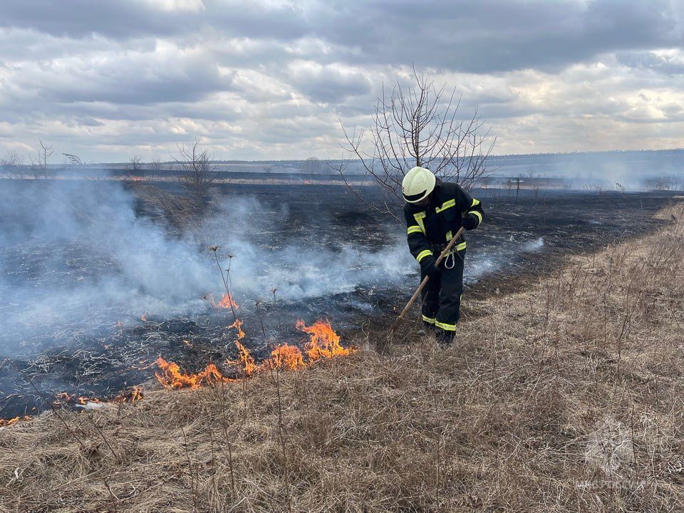 31 ����������� ����� ������������� ��������� ���������� �� �������� �����