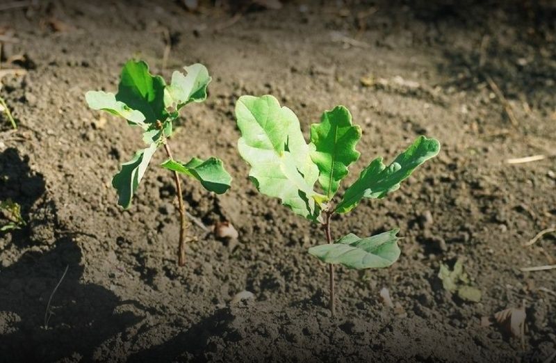 ���������: � ���������� �������� ������ � 2024 ���� ����������� ���� �� ������� ����� 10 ����� ������