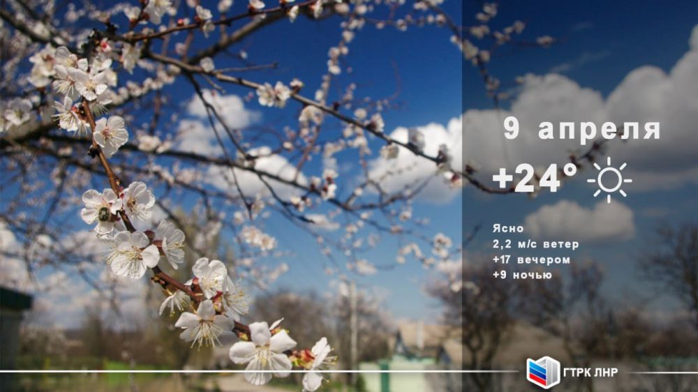 ������ ����, ��������� �������� ����������!