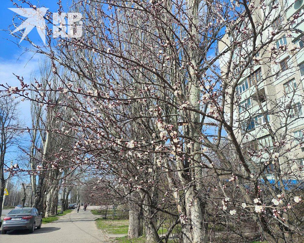 � ��� 9 ������ ��������� 28 �������� �����