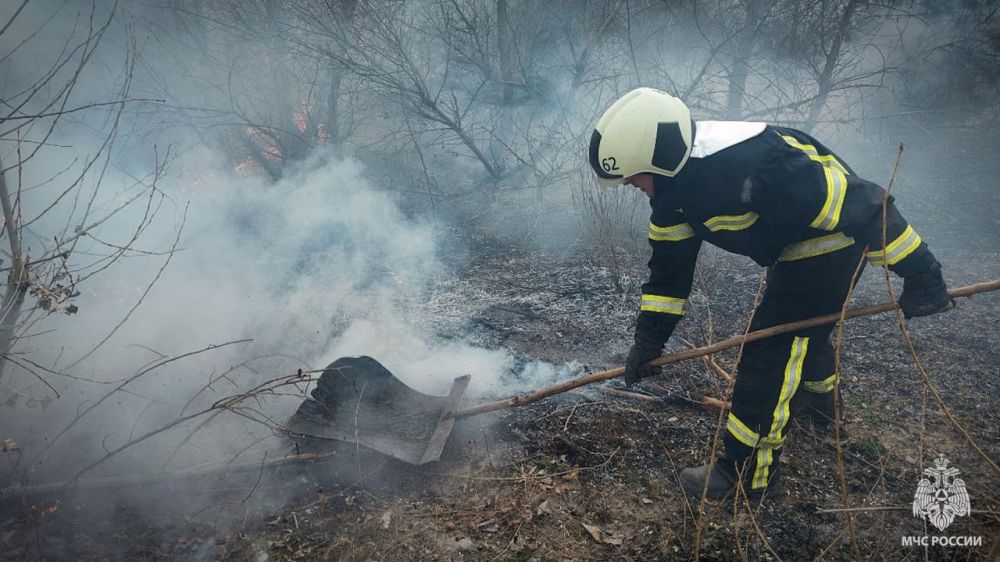 � ���������� ��������� ������� �������� ��������� (4 �����)