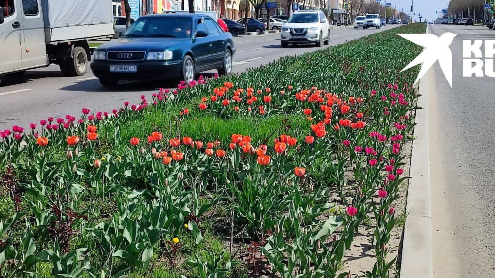 � �������� ������� ��������