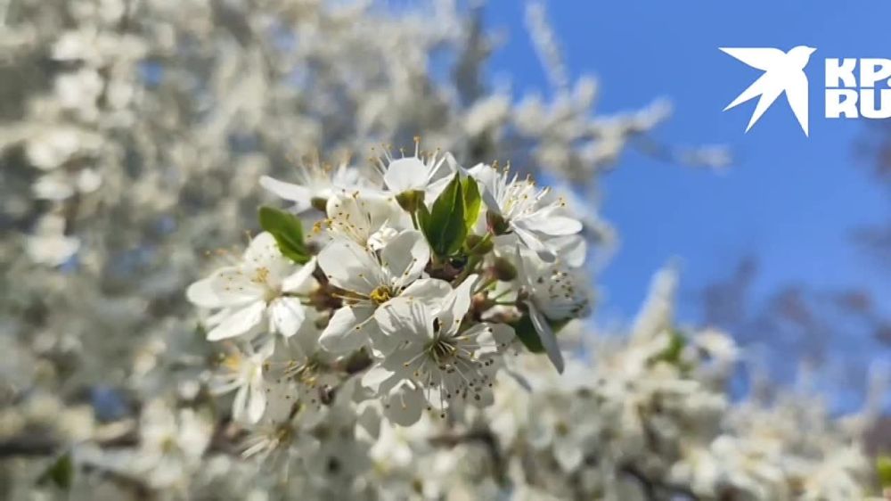 ��������� ����������. ������������ �� @kp_lnr